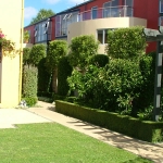 Clipped boundary hedging and shrubbery for privacy