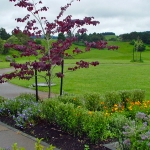 Retained front lawn visually bringing the farm into the garden