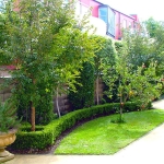 Townhouse courtyard with fruit trees