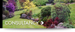 Landscape Consultancy